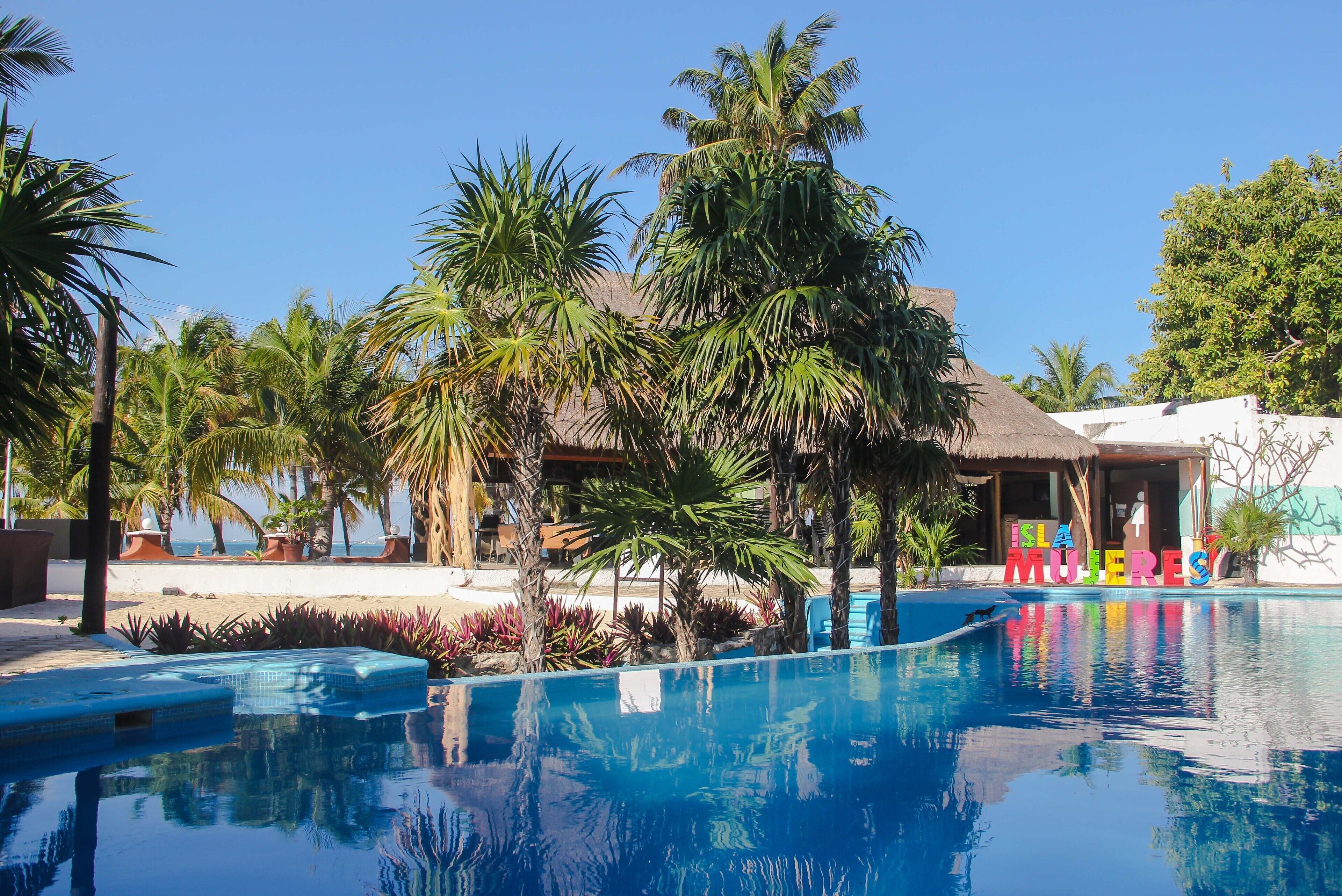 室外游泳池，池畔遮阳伞