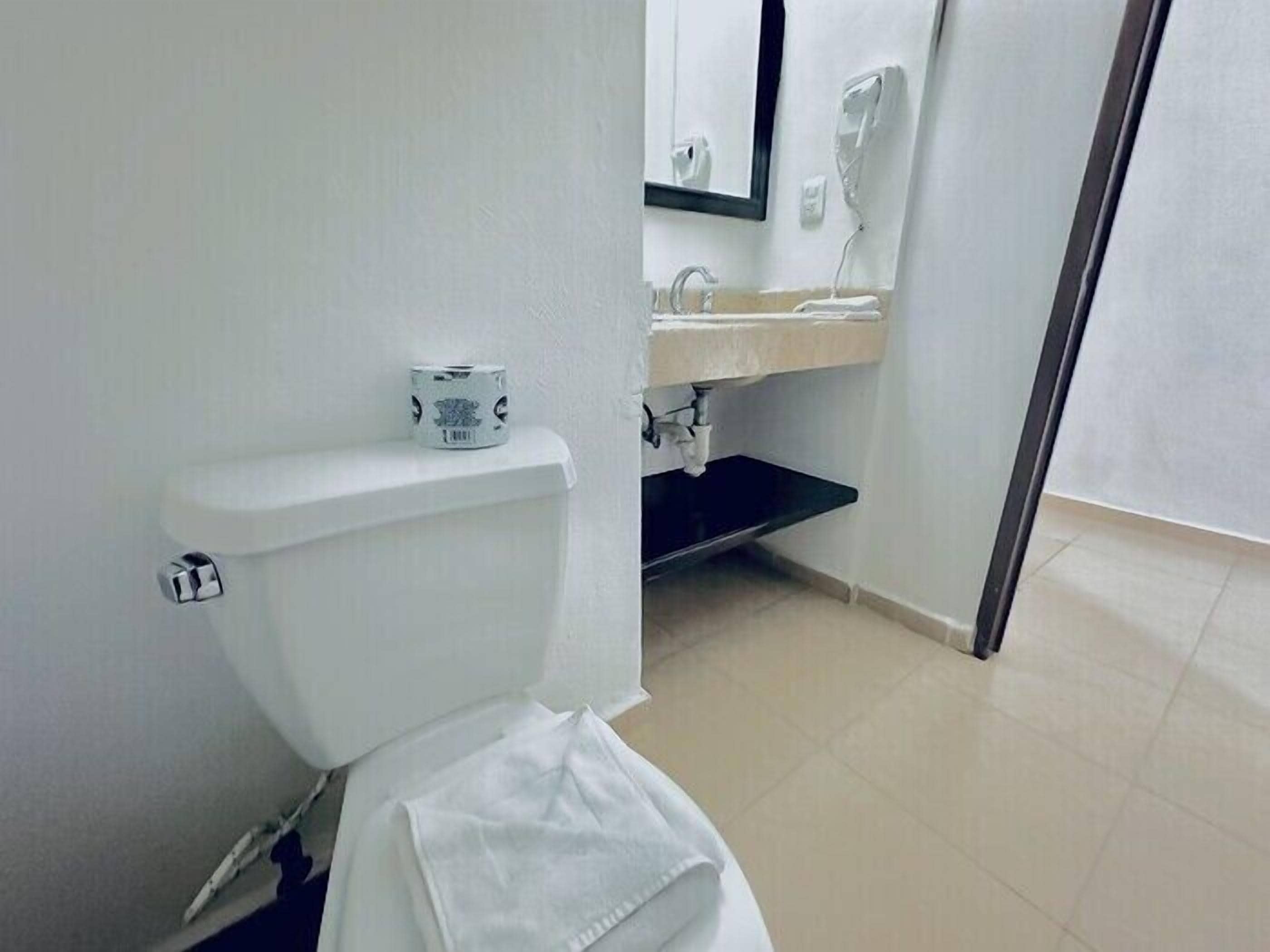 A bathroom with a toilet, a sink, and a mirror.