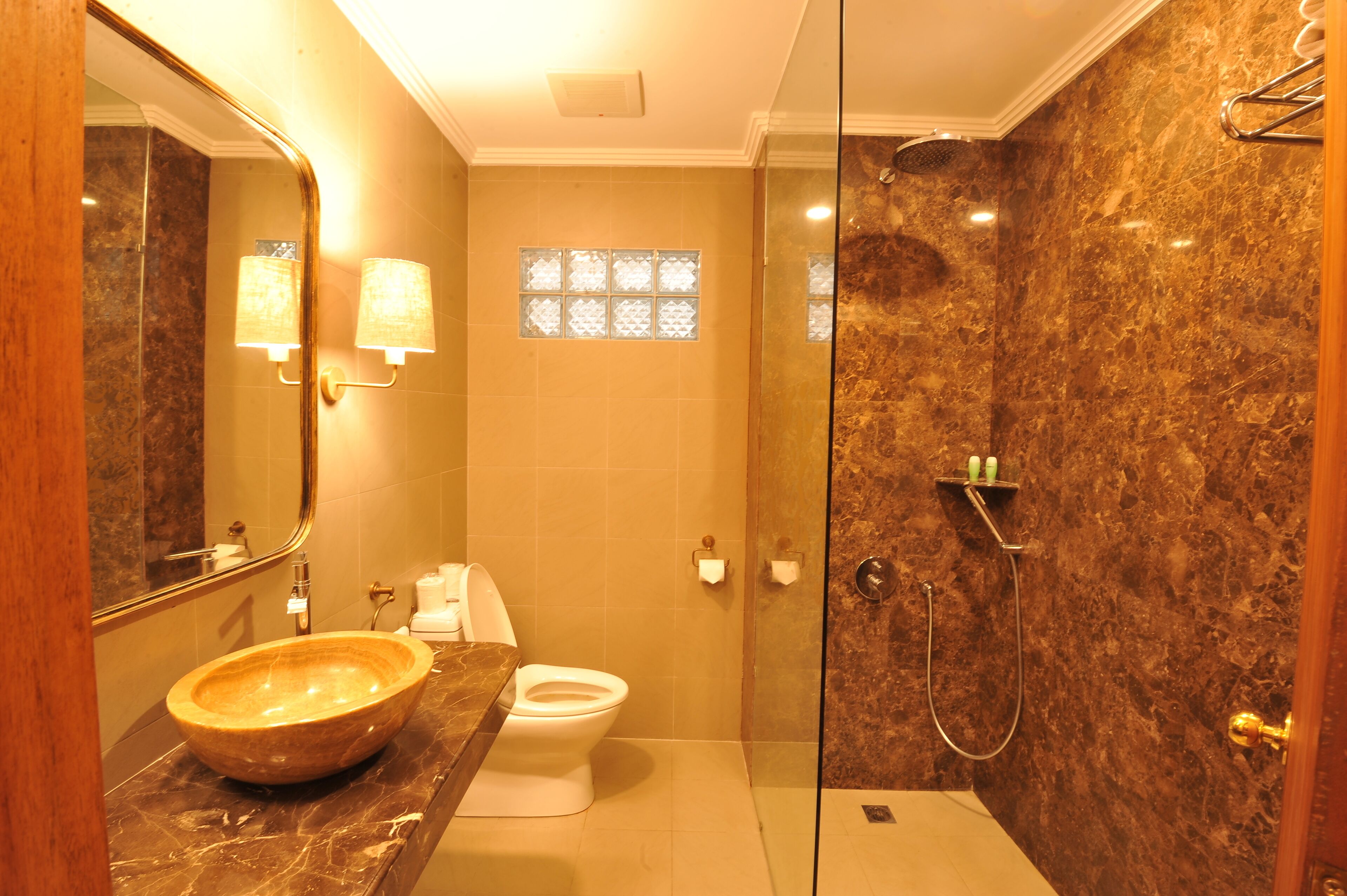 premier room | bathroom | shower, free toiletries, towels