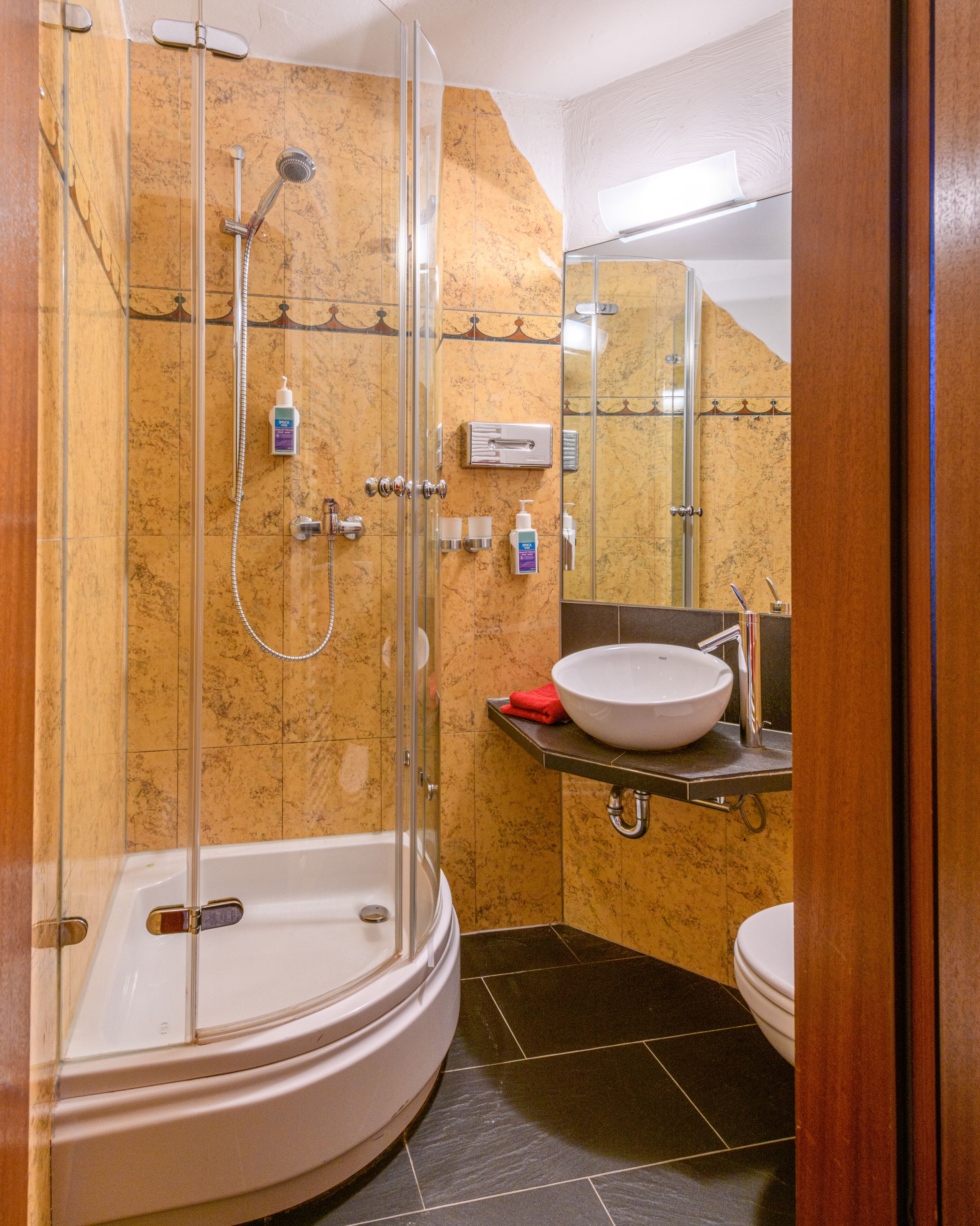 single room | bathroom | hair dryer, towels