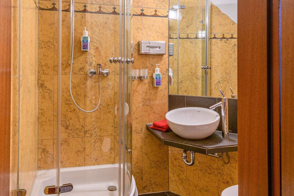 single room | bathroom | hair dryer, towels