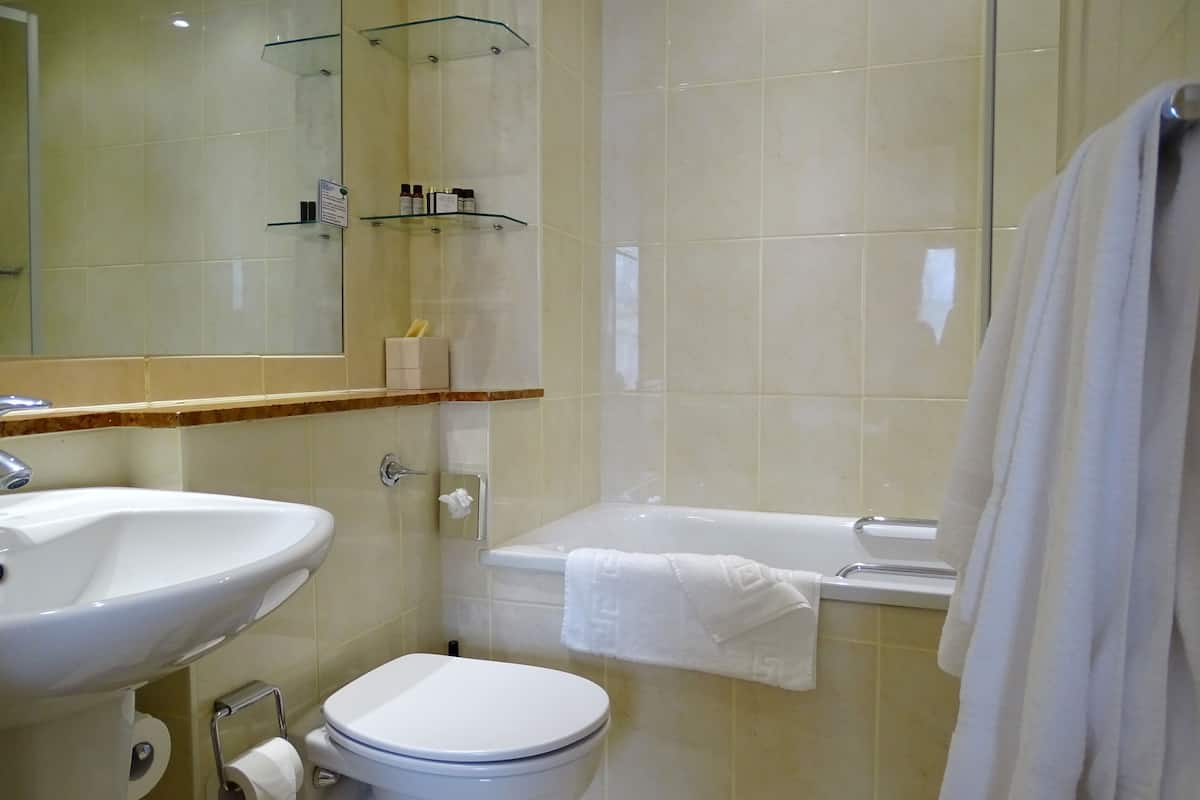 combined shower/bathtub, free toiletries, hair dryer, towels