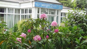 A building with a sign reading "HEALTH SUITE" and surrounded by lush greenery and pink flowers. - La Trelade Hotel (St. Martins)