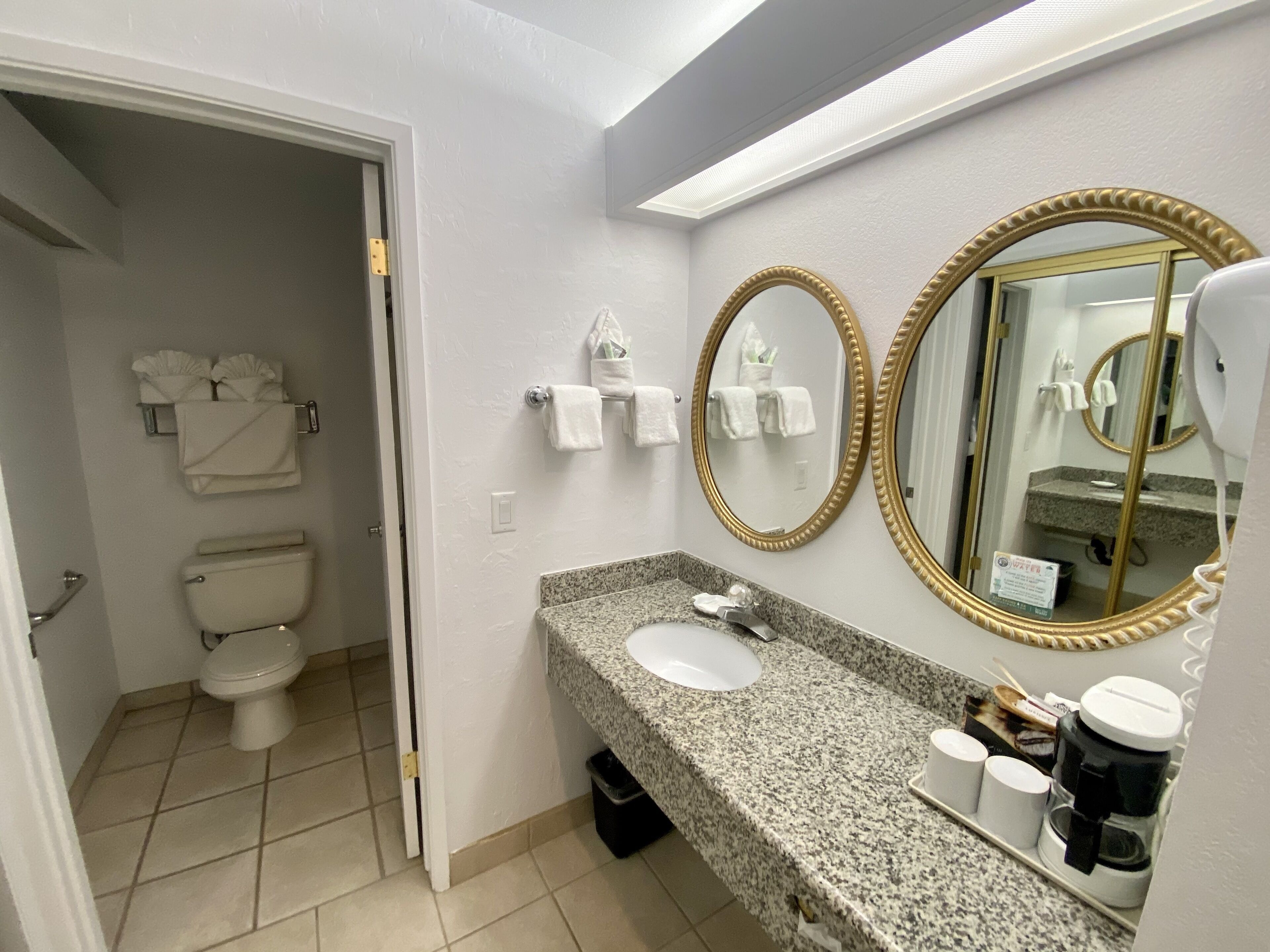 Une salle de bain comprenant des toilettes, un lavabo et deux miroirs avec des cadres dorés.