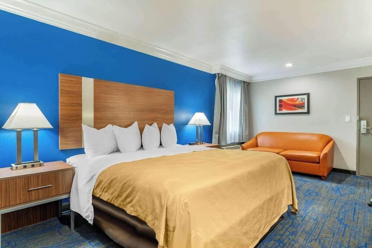 A hotel room with a large bed, two bedside tables, a sofa, a blue carpet, and a blue accent wall.