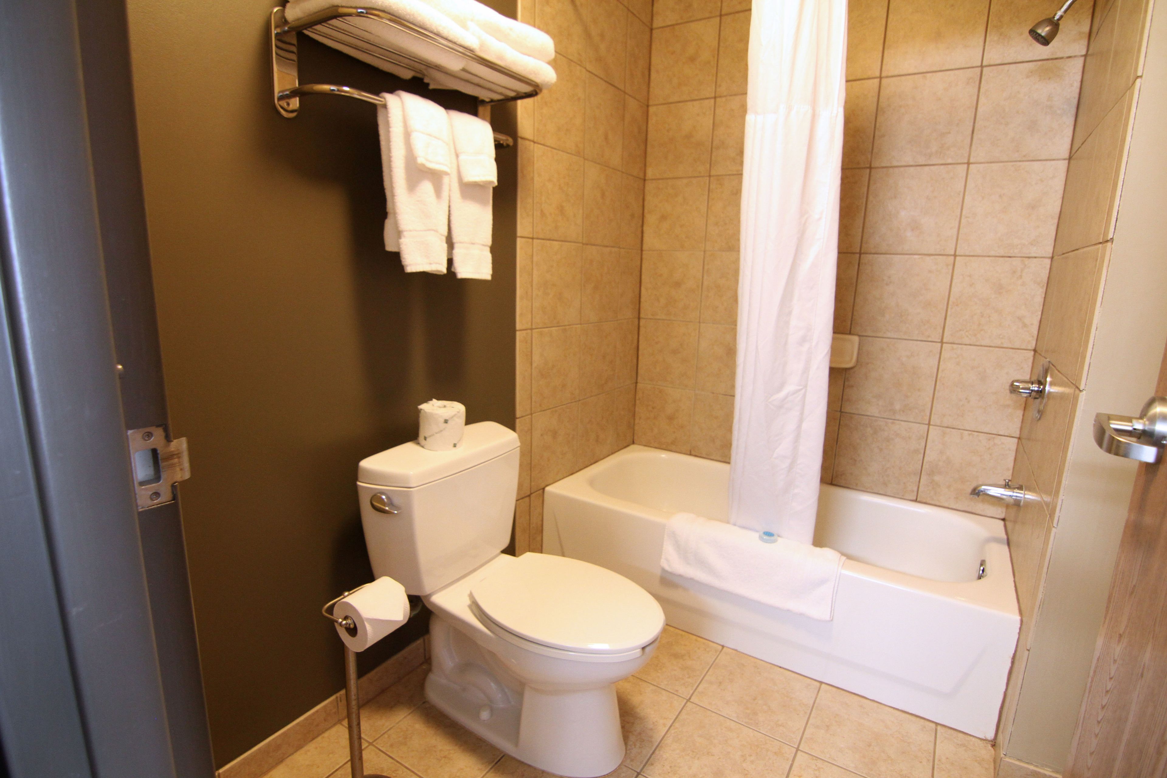 A bathroom with a toilet, bathtub, and shower curtain.