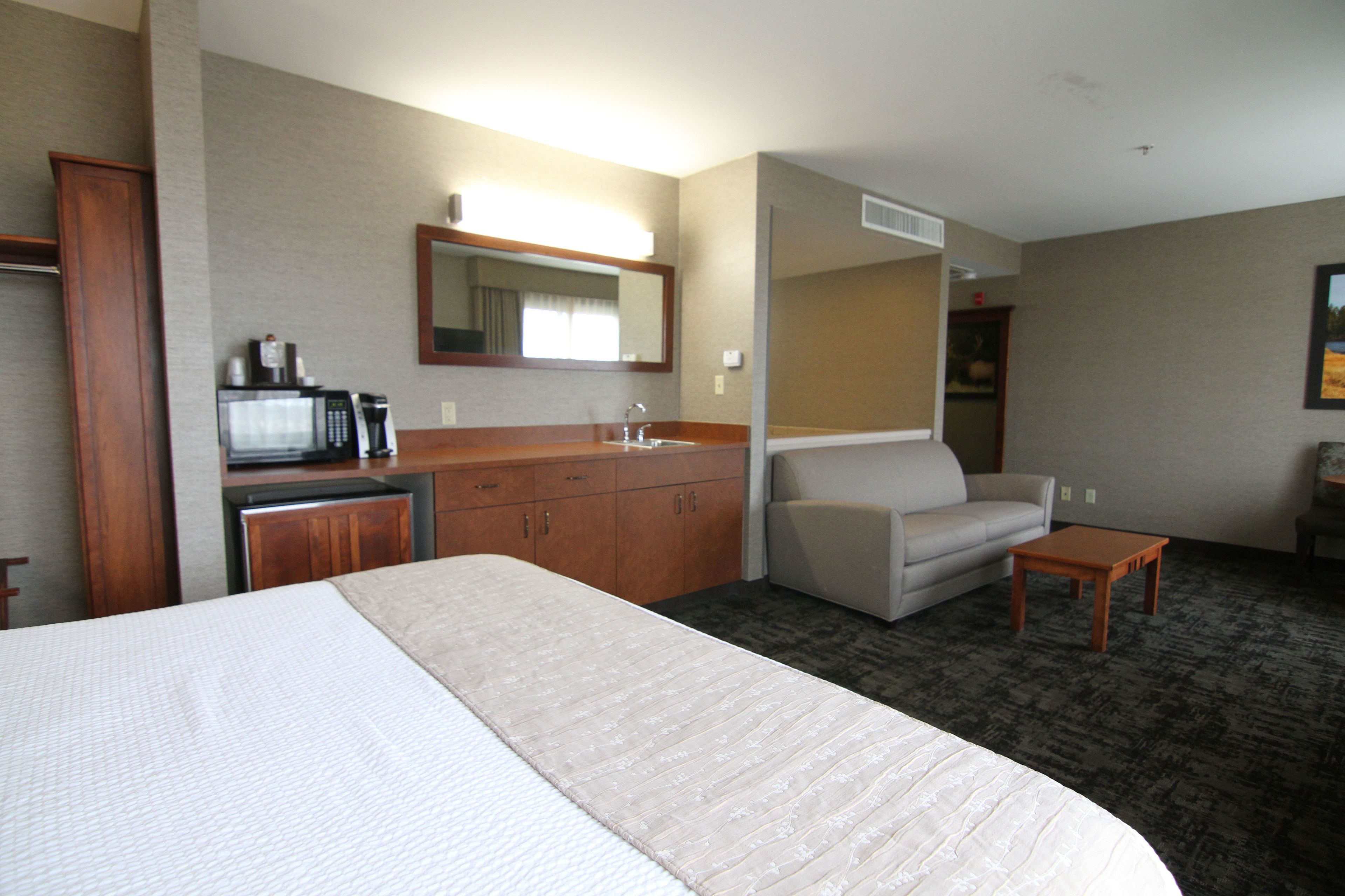 Una habitación de hotel con una cama, un sofá, una mesita, un microondas y un armario.