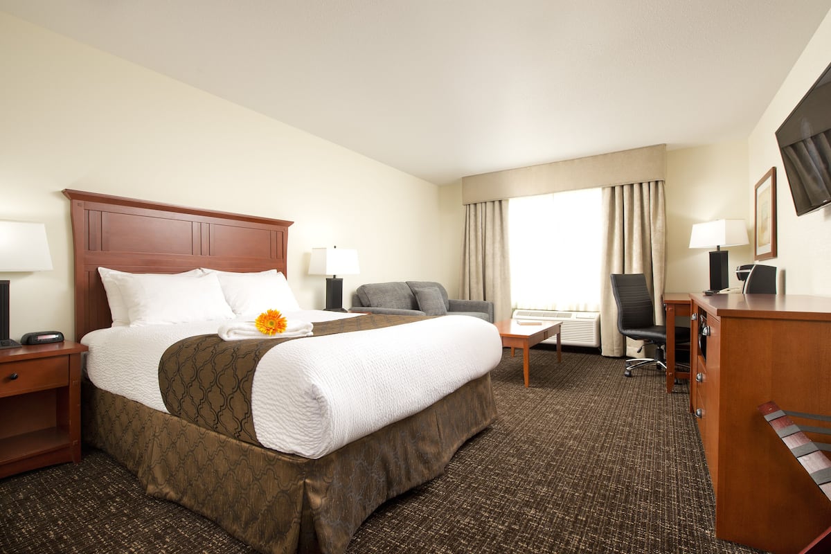 A hotel room with a large bed, a desk, a chair, a sofa, and a TV.