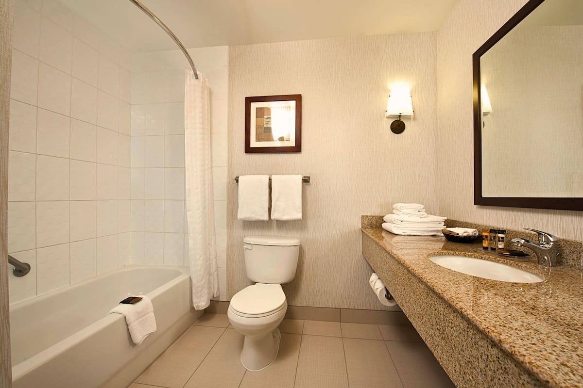 combined shower/bathtub, free toiletries, hair dryer, towels