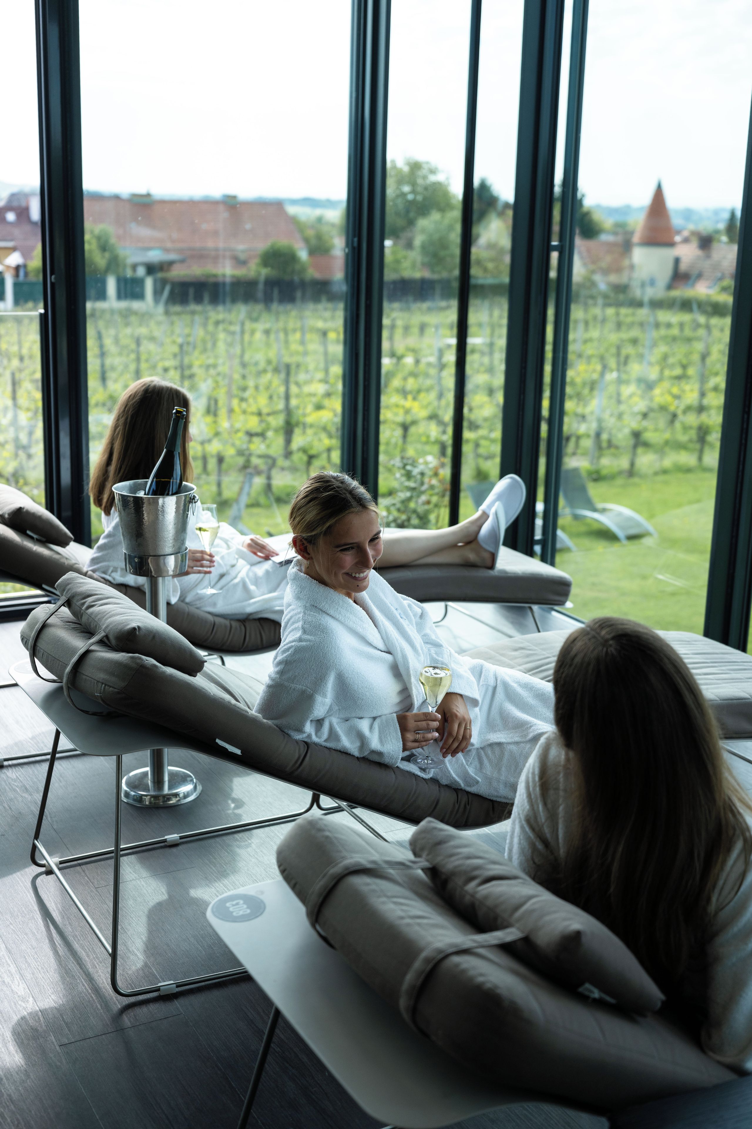 A room with large windows, a view of a vineyard, and a person relaxing on a sofa.