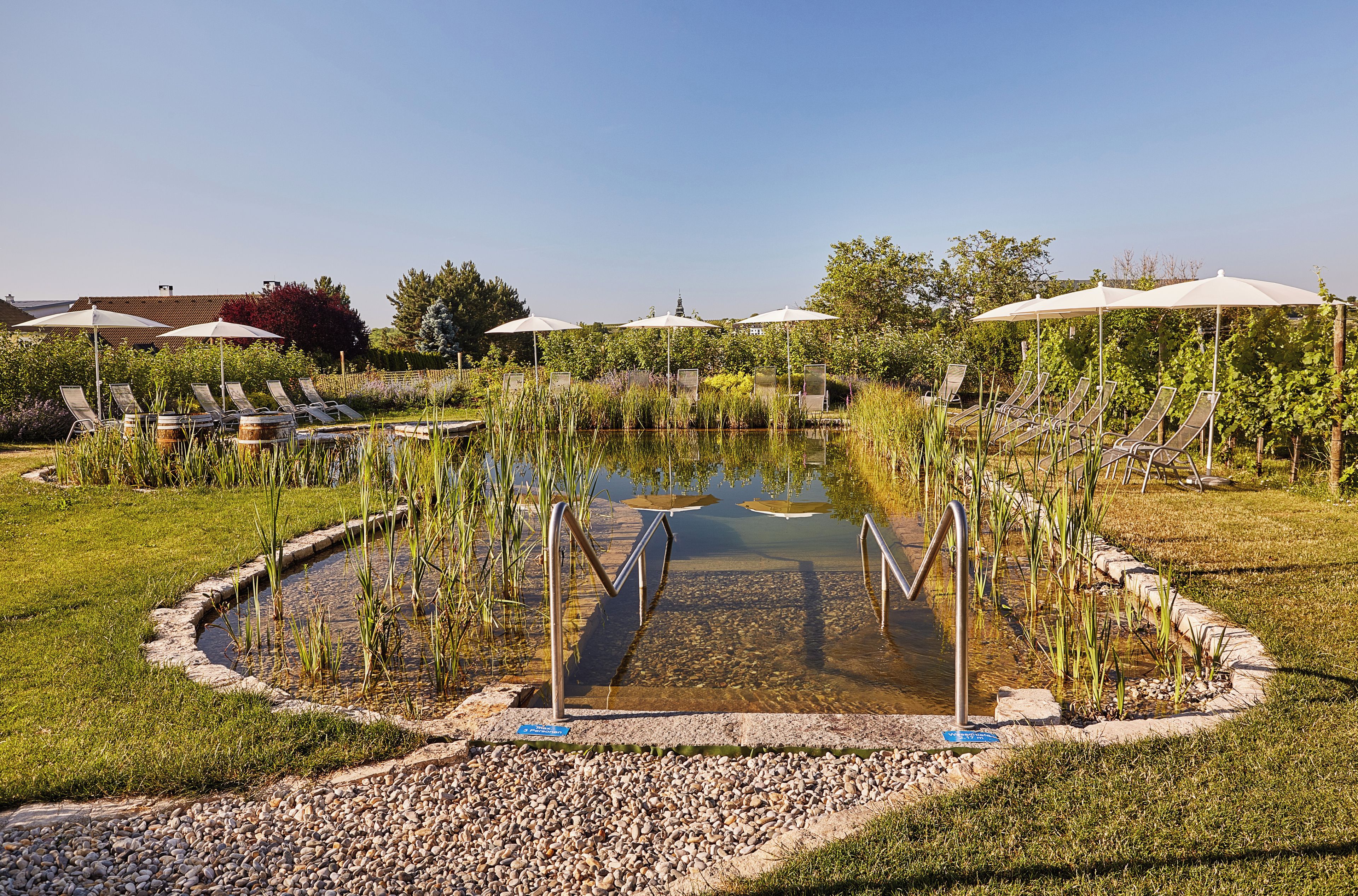A pool area with lounge chairs and umbrellas, surrounded by greenery and a clear sky.