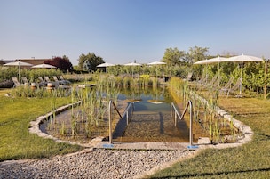 A pool area with lounge chairs and umbrellas, surrounded by greenery and a clear sky.