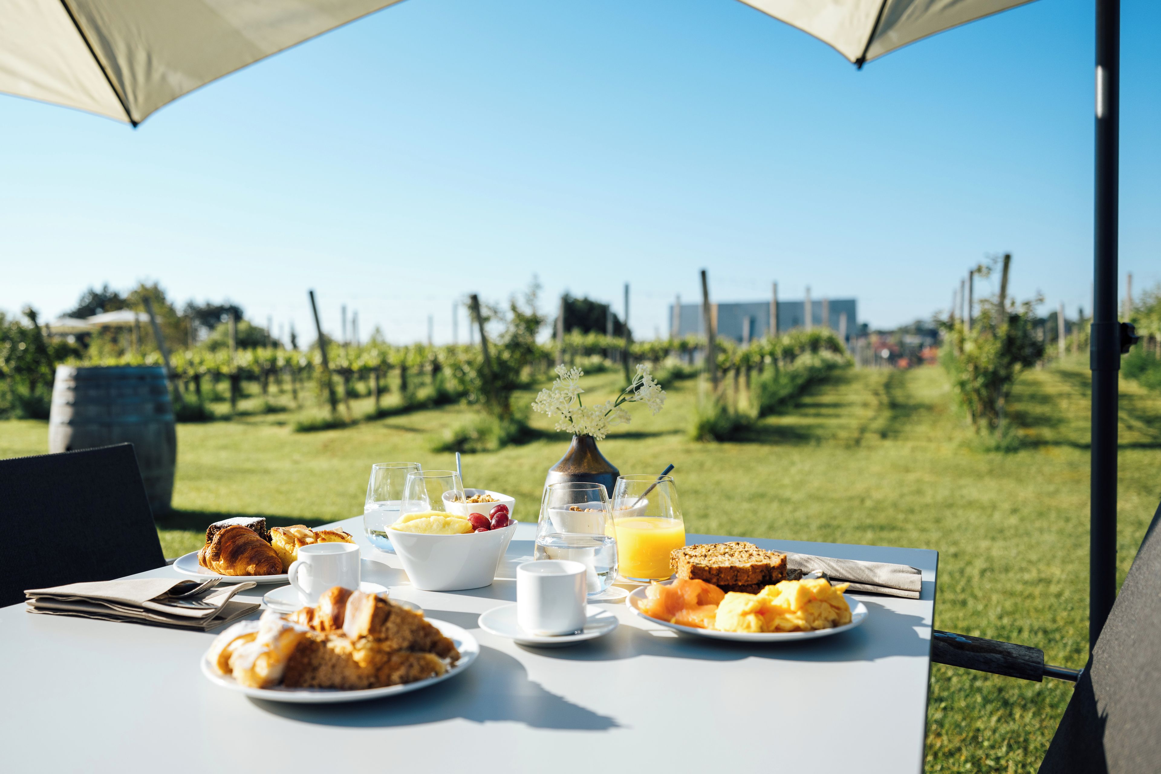 An outdoor dining table with breakfast items, glasses, and a view of a vineyard.
