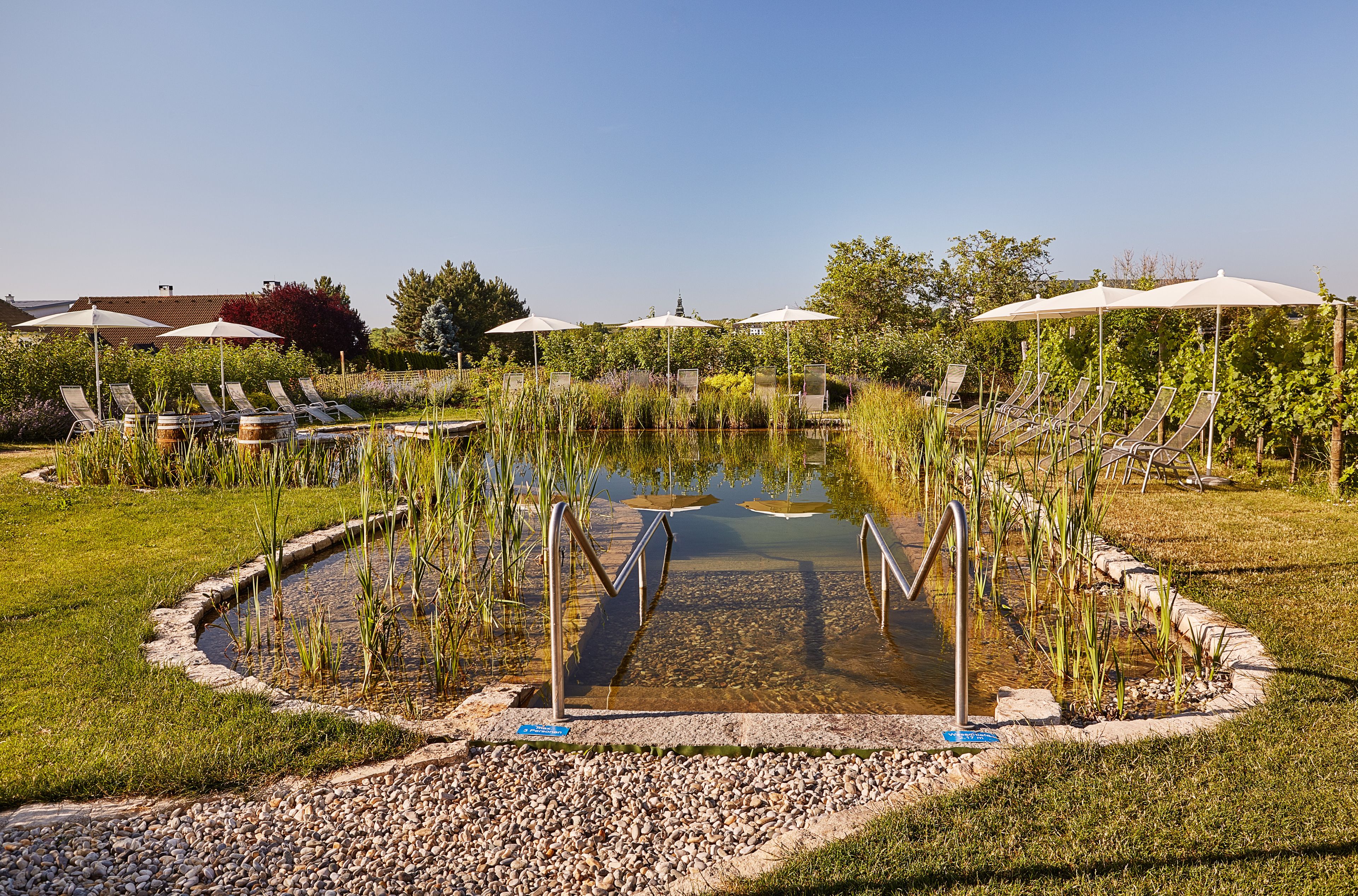 A pool area with lounge chairs and umbrellas, surrounded by a garden and a small pond.