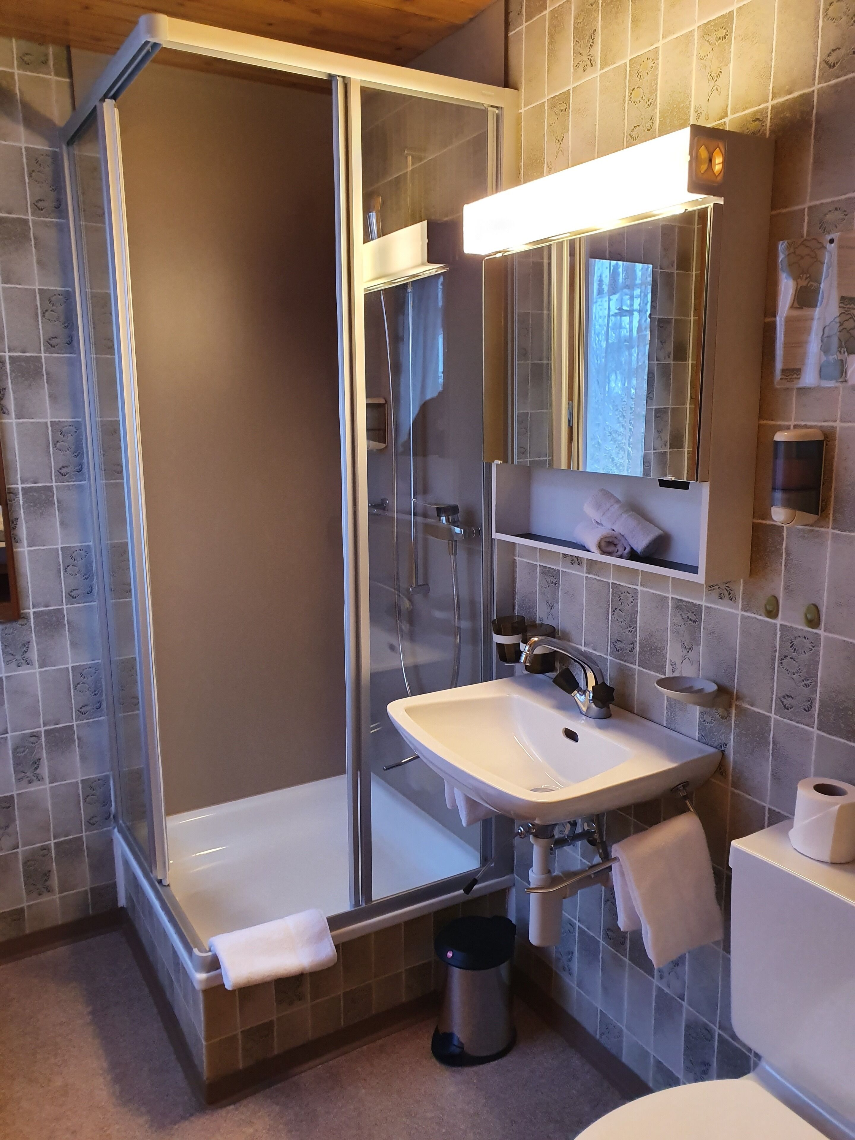 Un baño con ducha de vidrio, lavamanos con espejo y retrete.