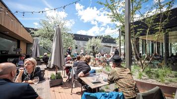 An outdoor dining area with tables and chairs, surrounded by trees and a building with large windows.