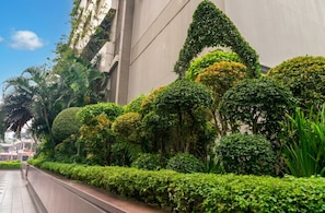 Jardin