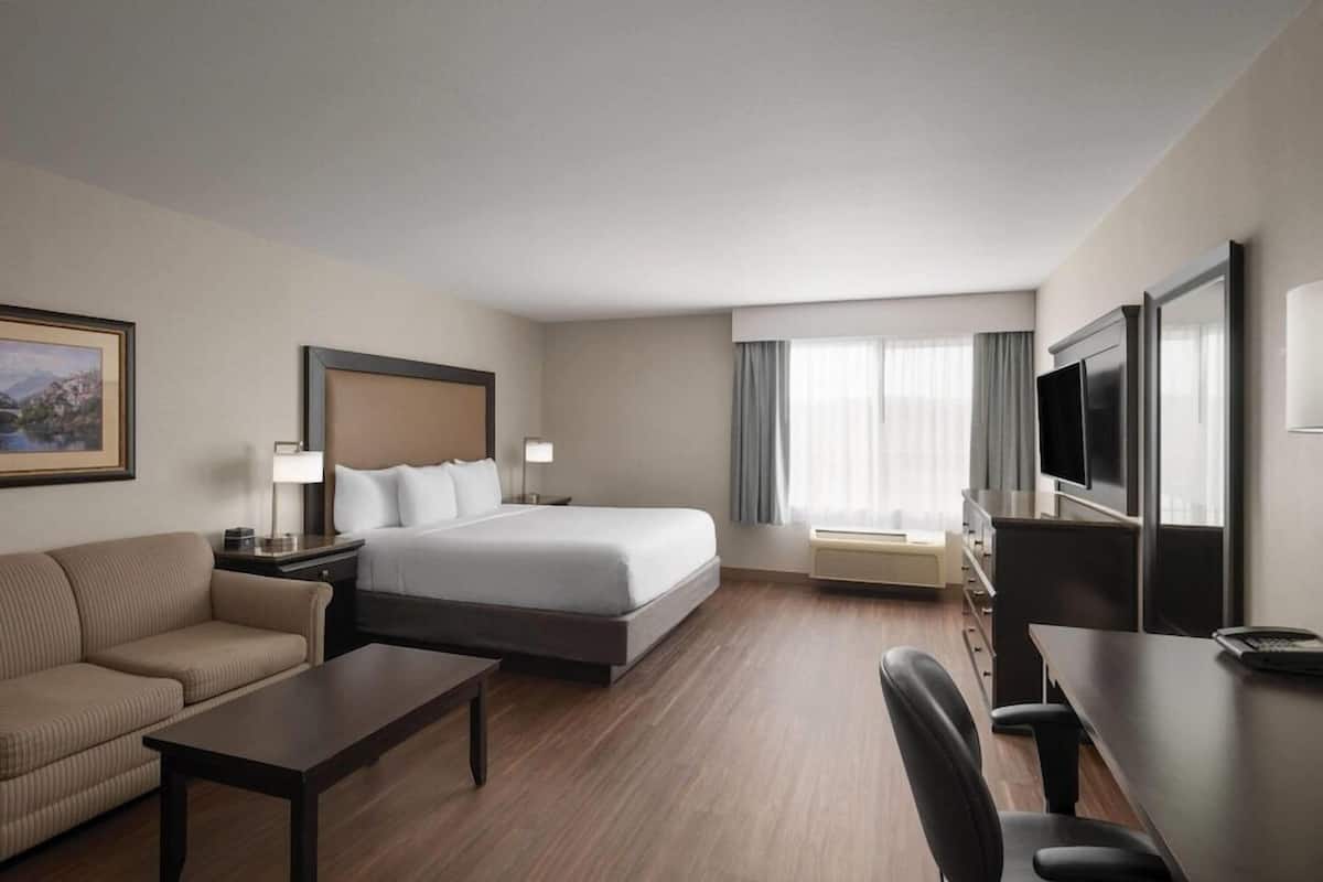 A hotel room with a bed, a sofa, a desk, a TV, and a window with curtains.