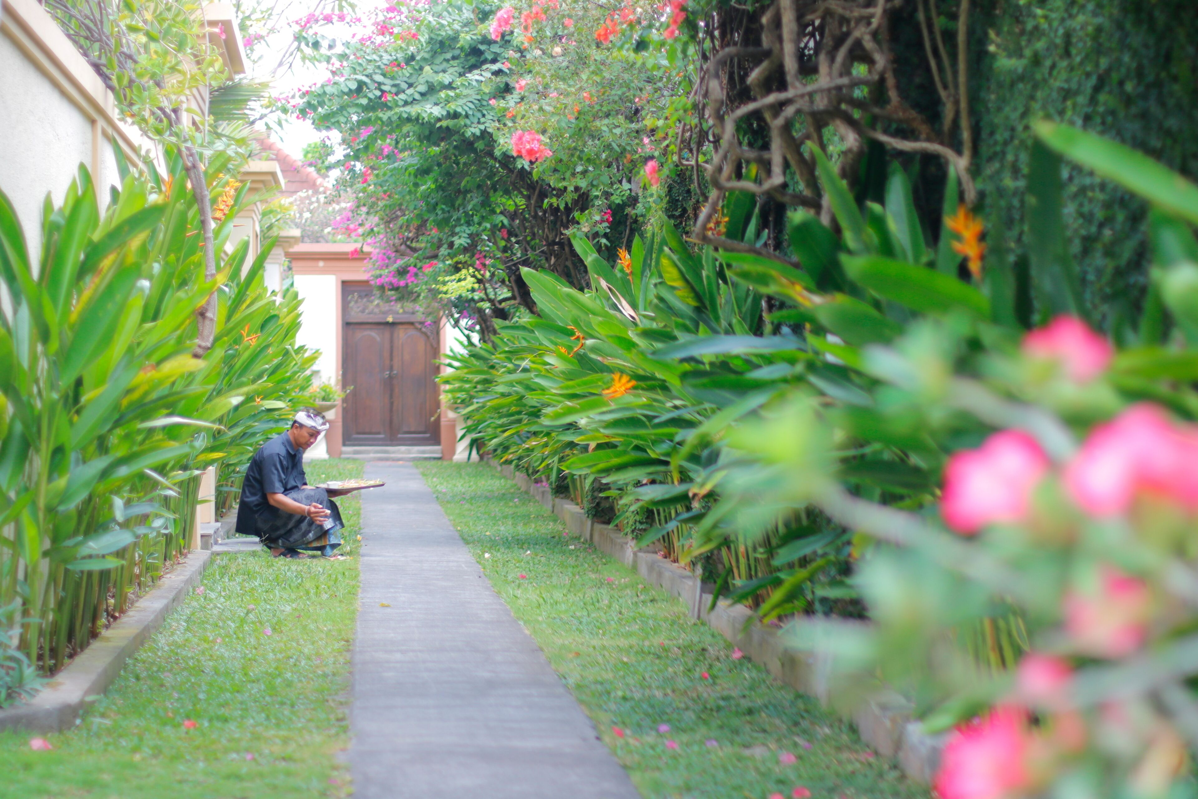 Garden