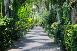 Un camino pavimentado bordeado por exuberante vegetación y altos árboles, que conduce a una zona sombreada.