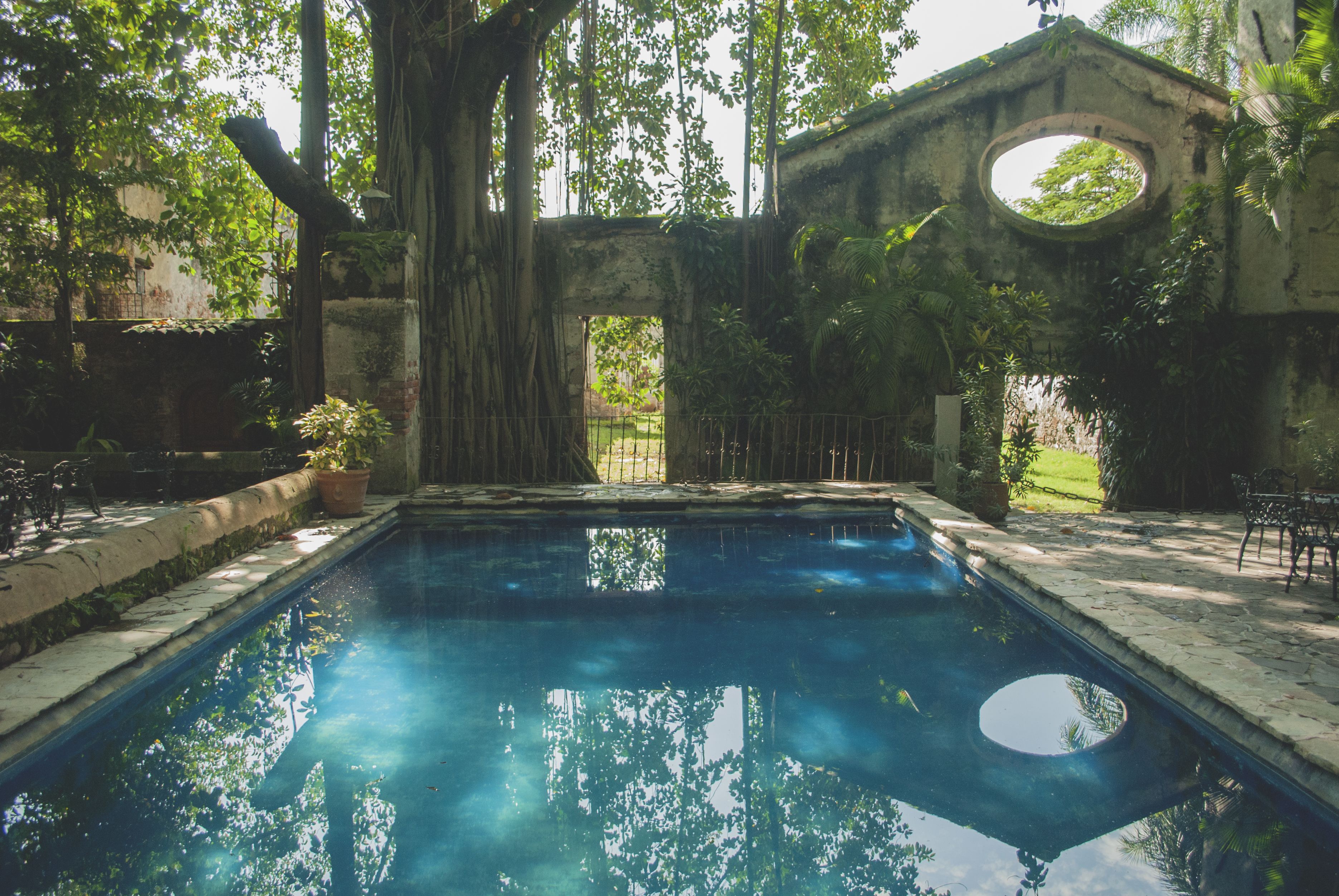 Outdoor pool, sun loungers