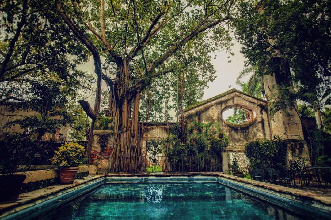 Una piscina rodeada de abundante vegetación y una estructura de piedra con un ventanal circular.