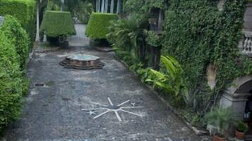 Un sendero pavimentado con un mosaico en forma de estrella, rodeado de exuberante follaje y palmeras.