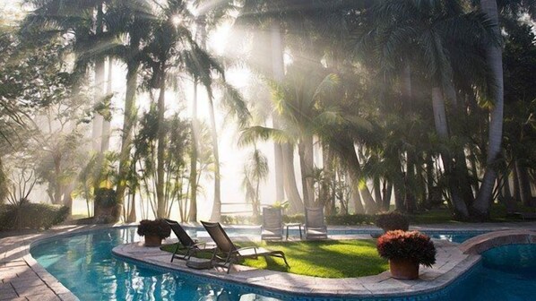 Un área de piscina con sillones de descanso y palmeras.