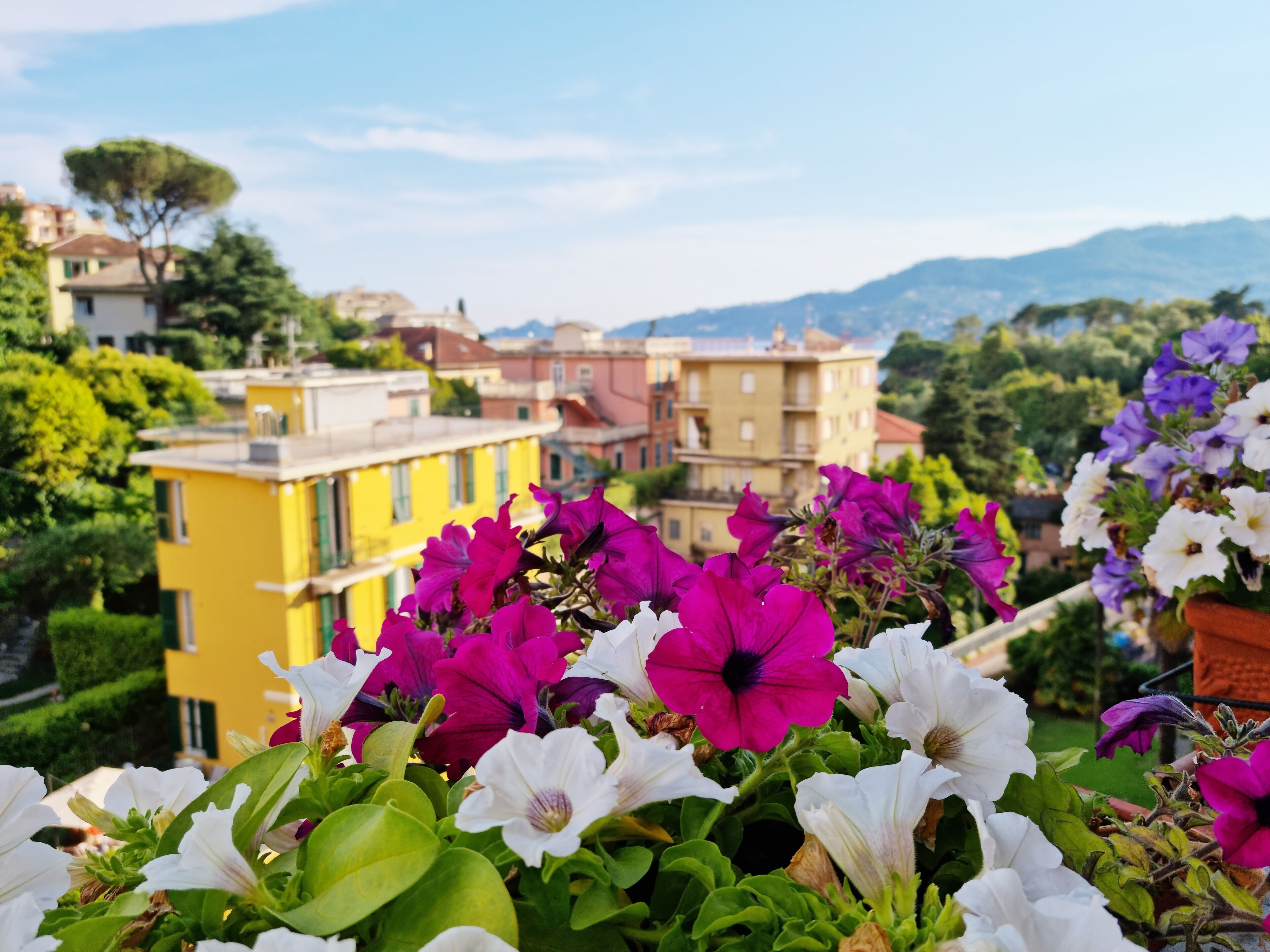 Foto - Hotel Canali, Portofino Coast