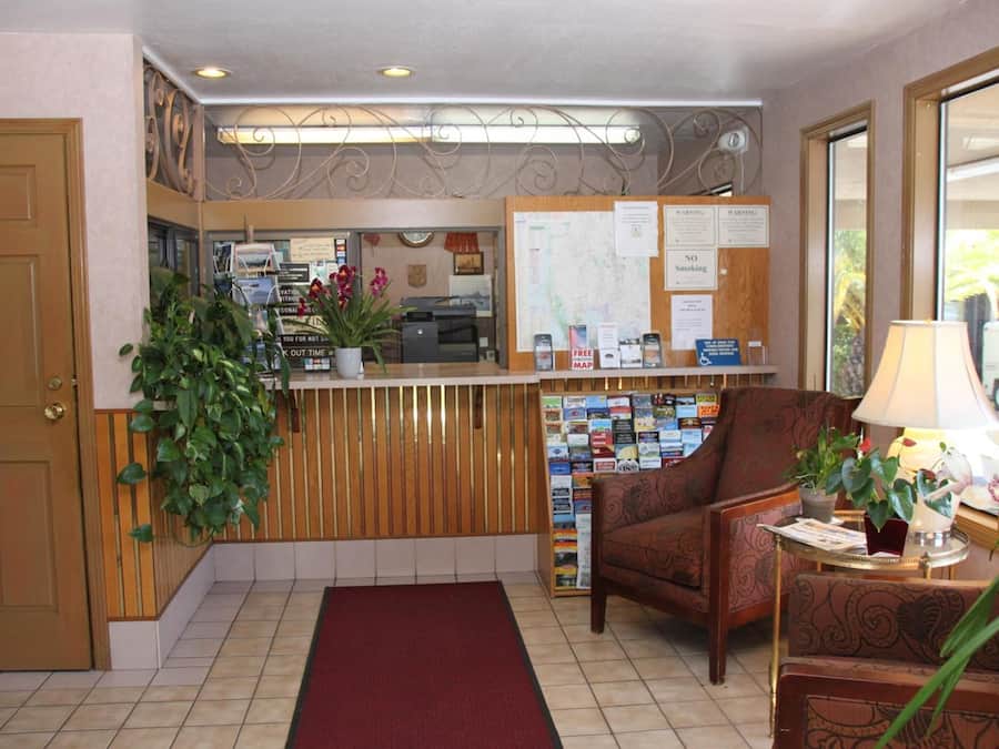 A reception area with a wooden reception desk, a red carpet, a comfortable armchair, and a potted plant.