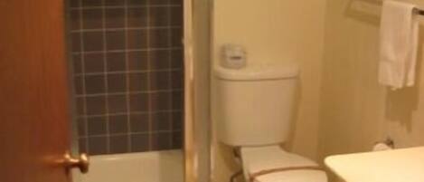 Ein Badezimmer mit Dusche, Toilette und Waschbecken.
