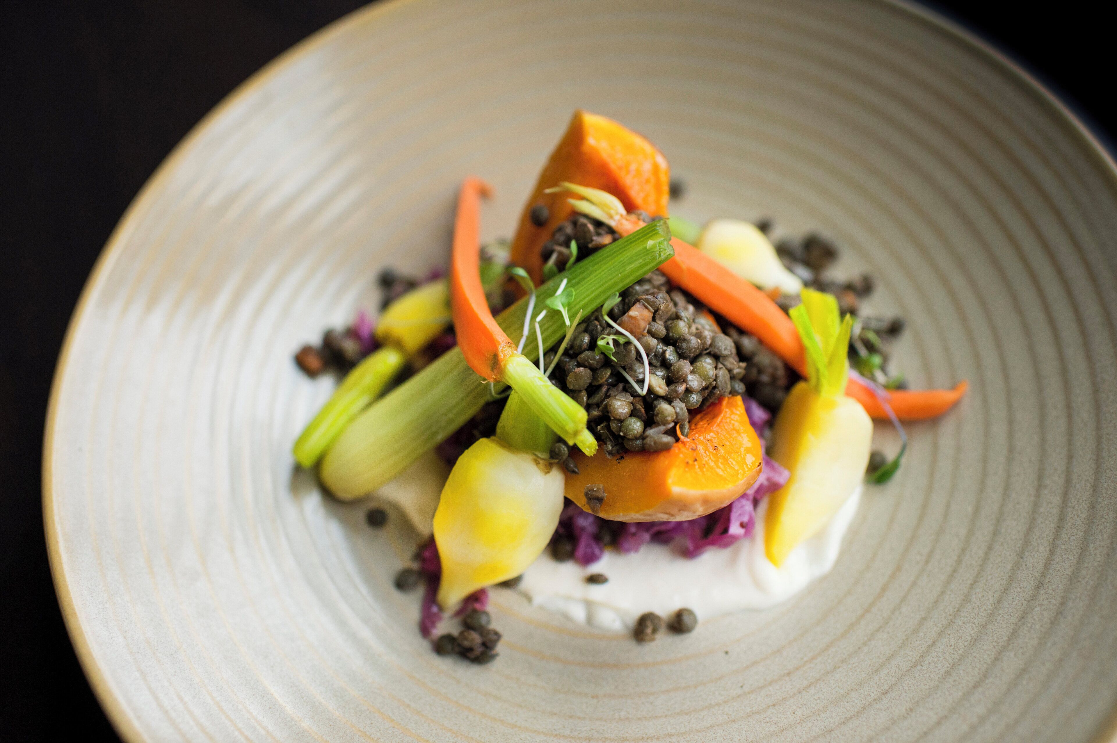 A plate with a food arrangement including lentils, carrots, and other vegetables.