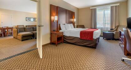 Comfort Inn & Suites Galt - Lodi North