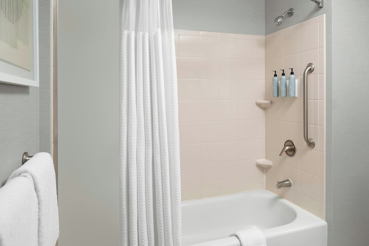 combined shower/bathtub, free toiletries, hair dryer, towels