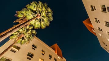 Una palmera alta frente a un cielo nocturno, con un edificio moderno que presenta múltiples ventanas y un diseño arquitectónico singular.