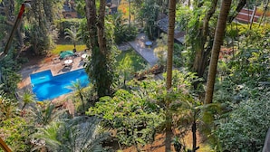 A lush garden with a swimming pool, surrounded by dense tropical vegetation and a view of a residential area. - Comfort Inn Cordoba (Córdoba)
