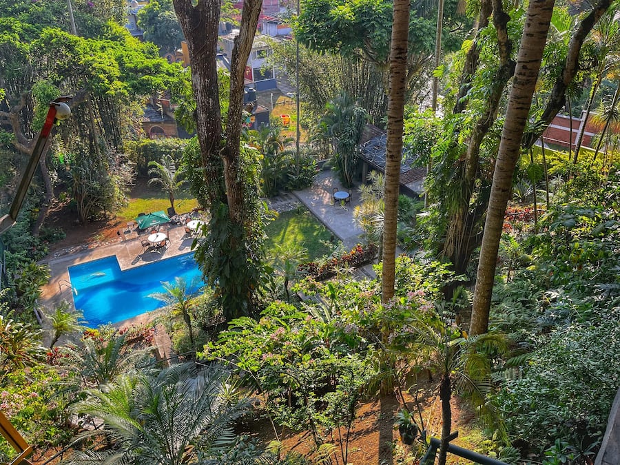 Un exuberante jardín con piscina, rodeado de densa vegetación tropical y vistas a una zona residencial.