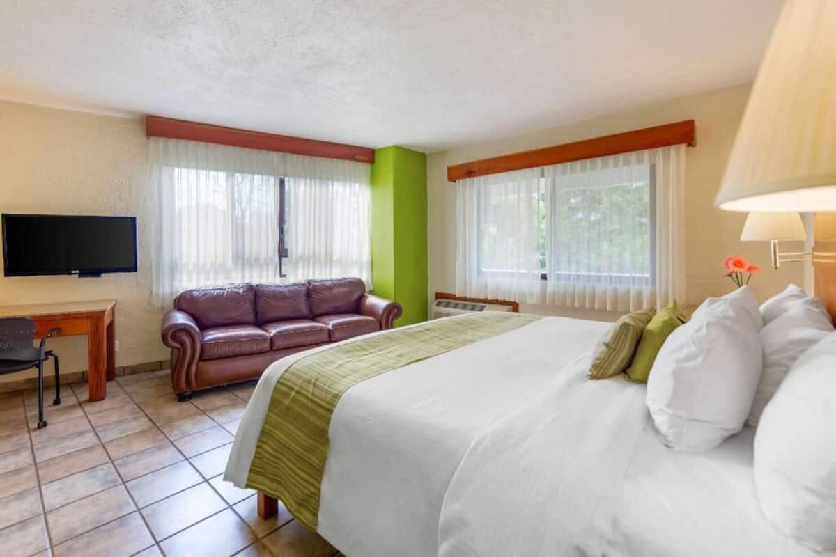 A hotel room with a bed, a sofa, a TV, and a desk.
