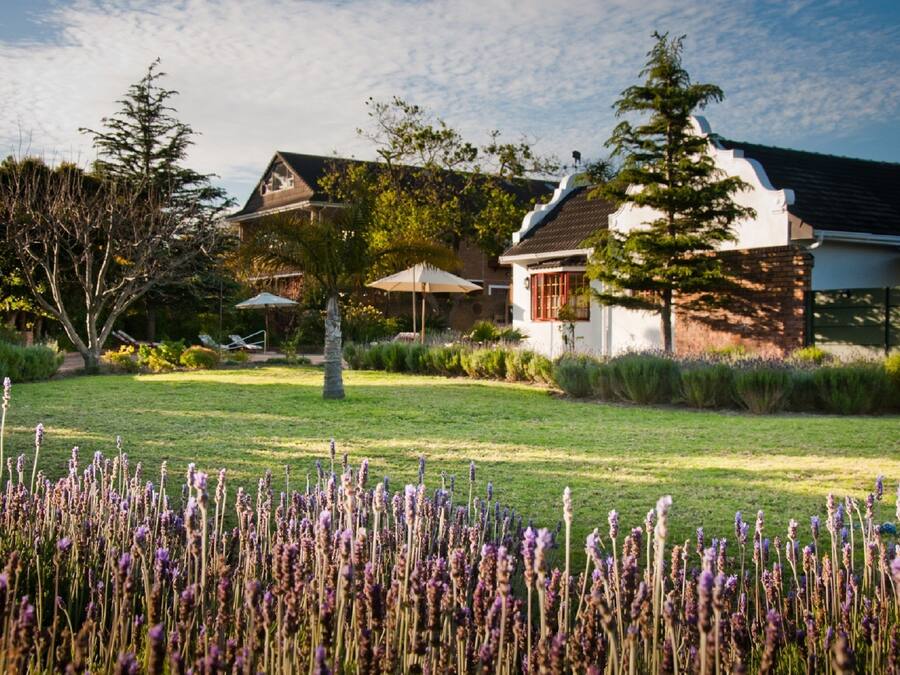 Jardines del alojamiento