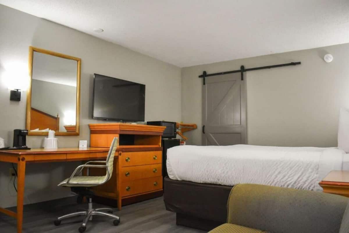 أسرّة بطبقة علوية مريحة ومكتب ومكواة/لوح كي وأسرّة أطفال/رضّع (مجانًا)