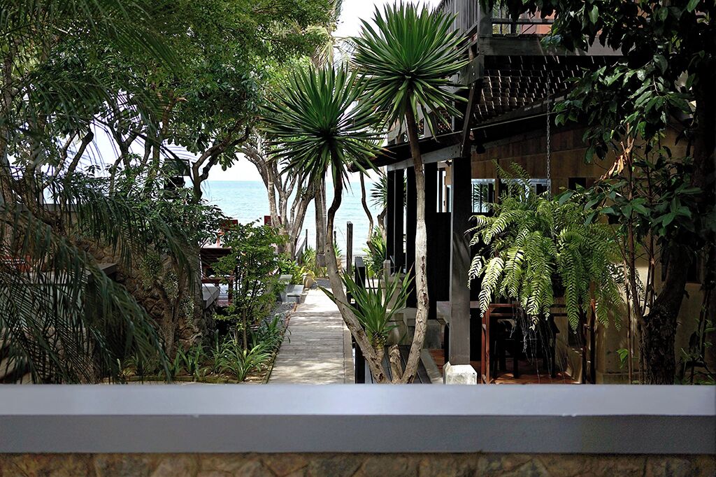 Un sendero bordeado de plantas tropicales que lleva a un edificio con vista al mar.