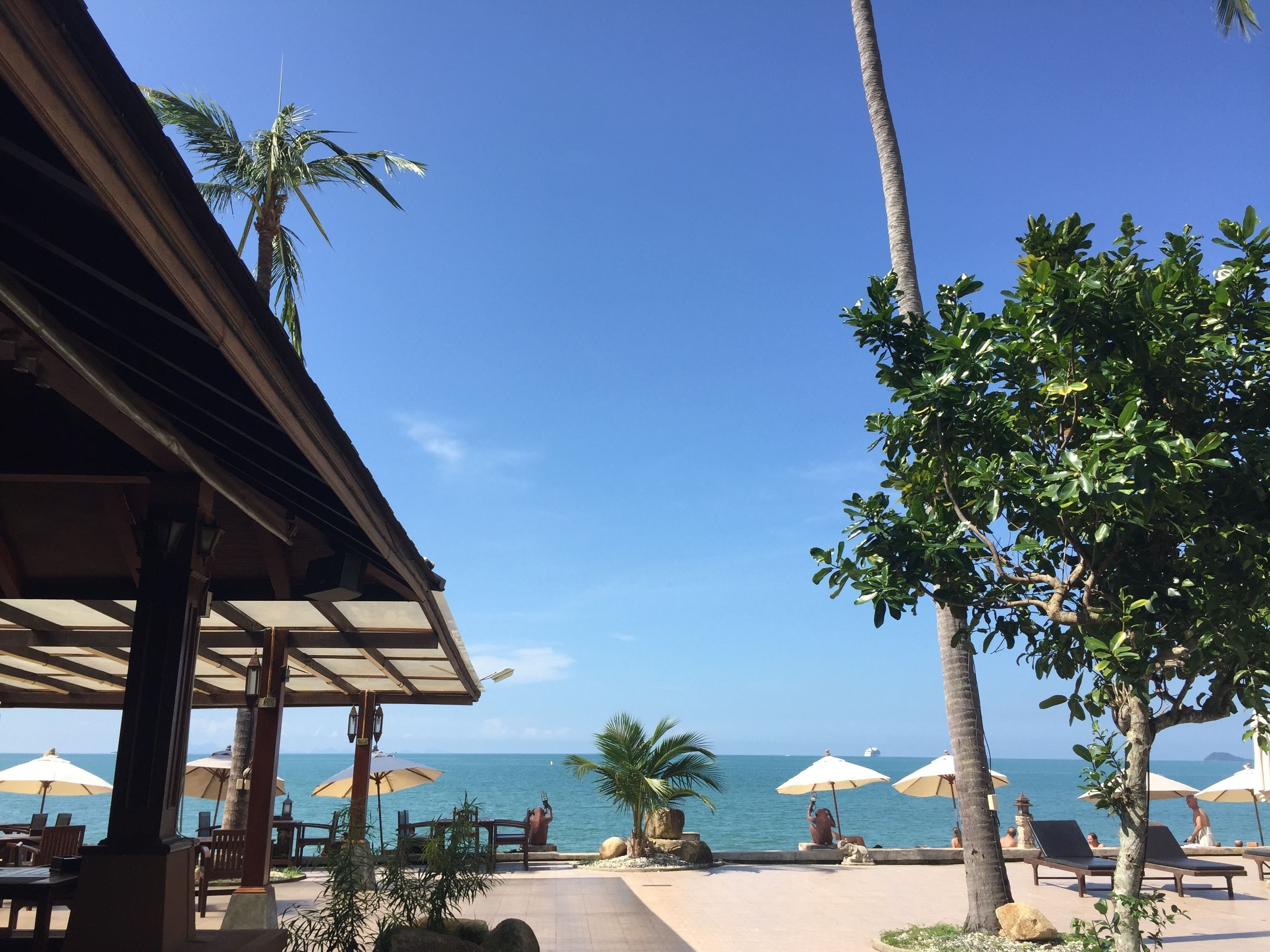 Un patio frente a la playa con sombrillas, sillas de descanso y vista al océano.