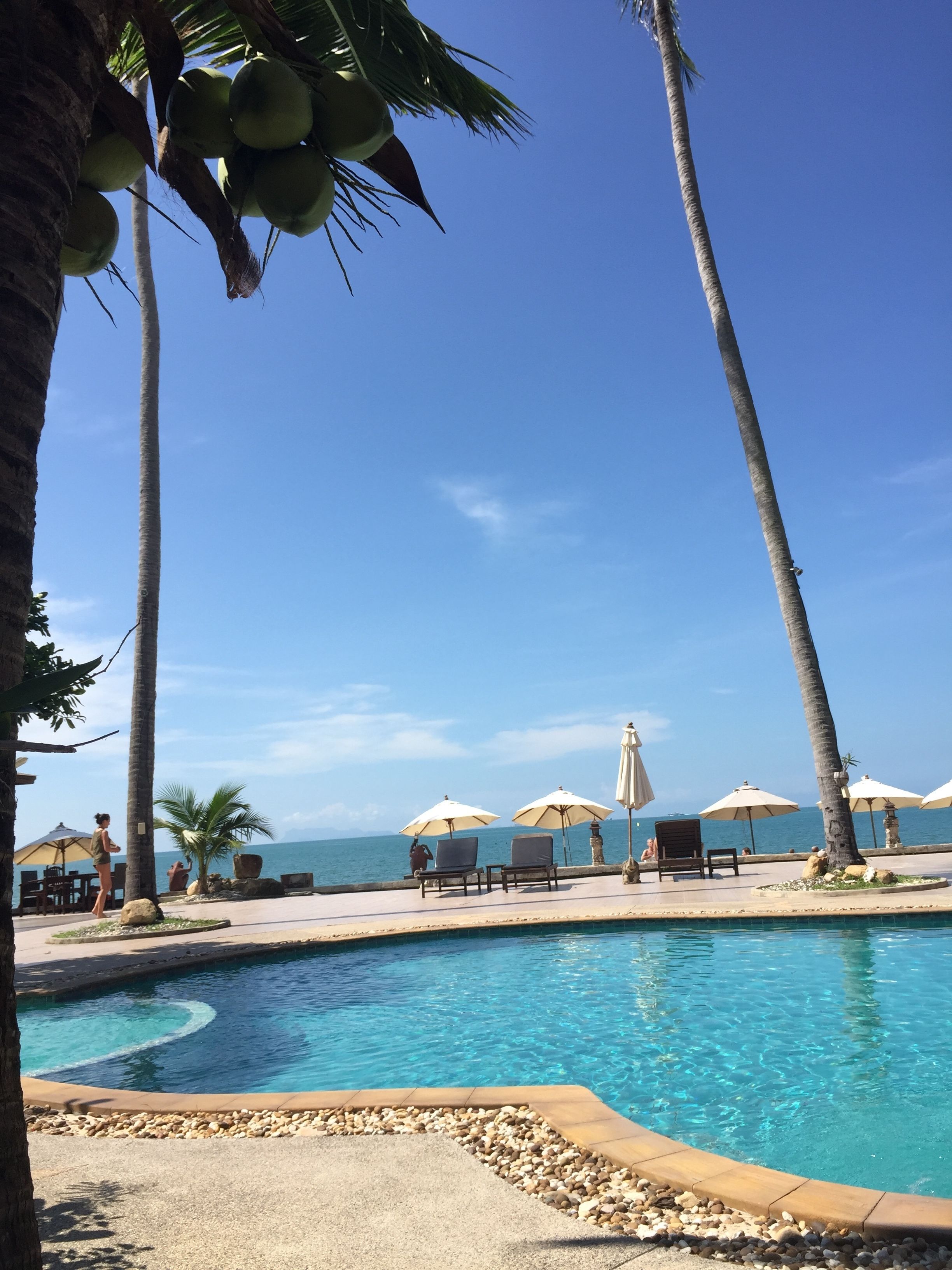A poolside area with lounge chairs, umbrellas, and palm trees.