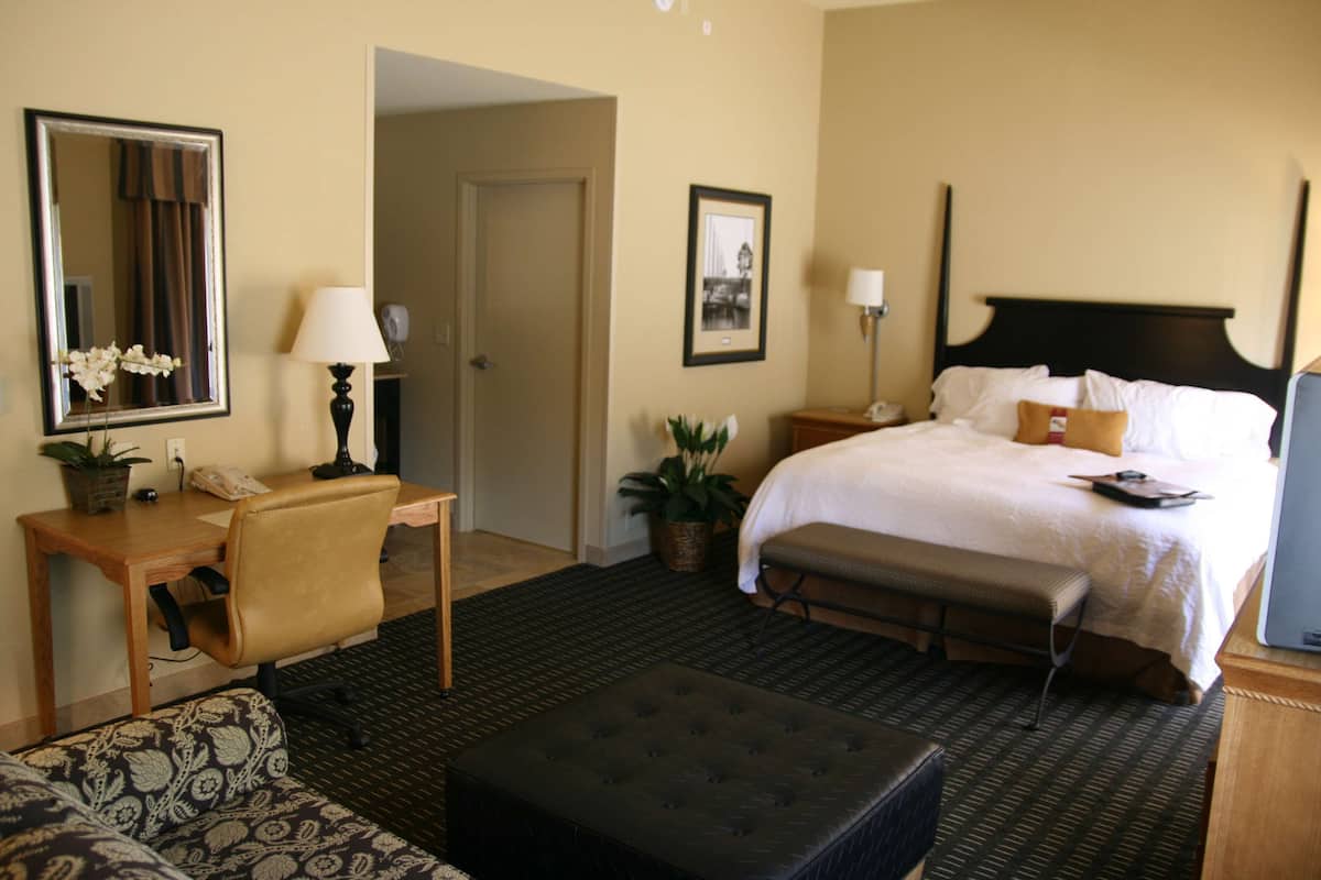 A hotel room with a bed, a desk with a chair, a bench, a small table with a lamp, a potted plant, and a framed picture on the wall.