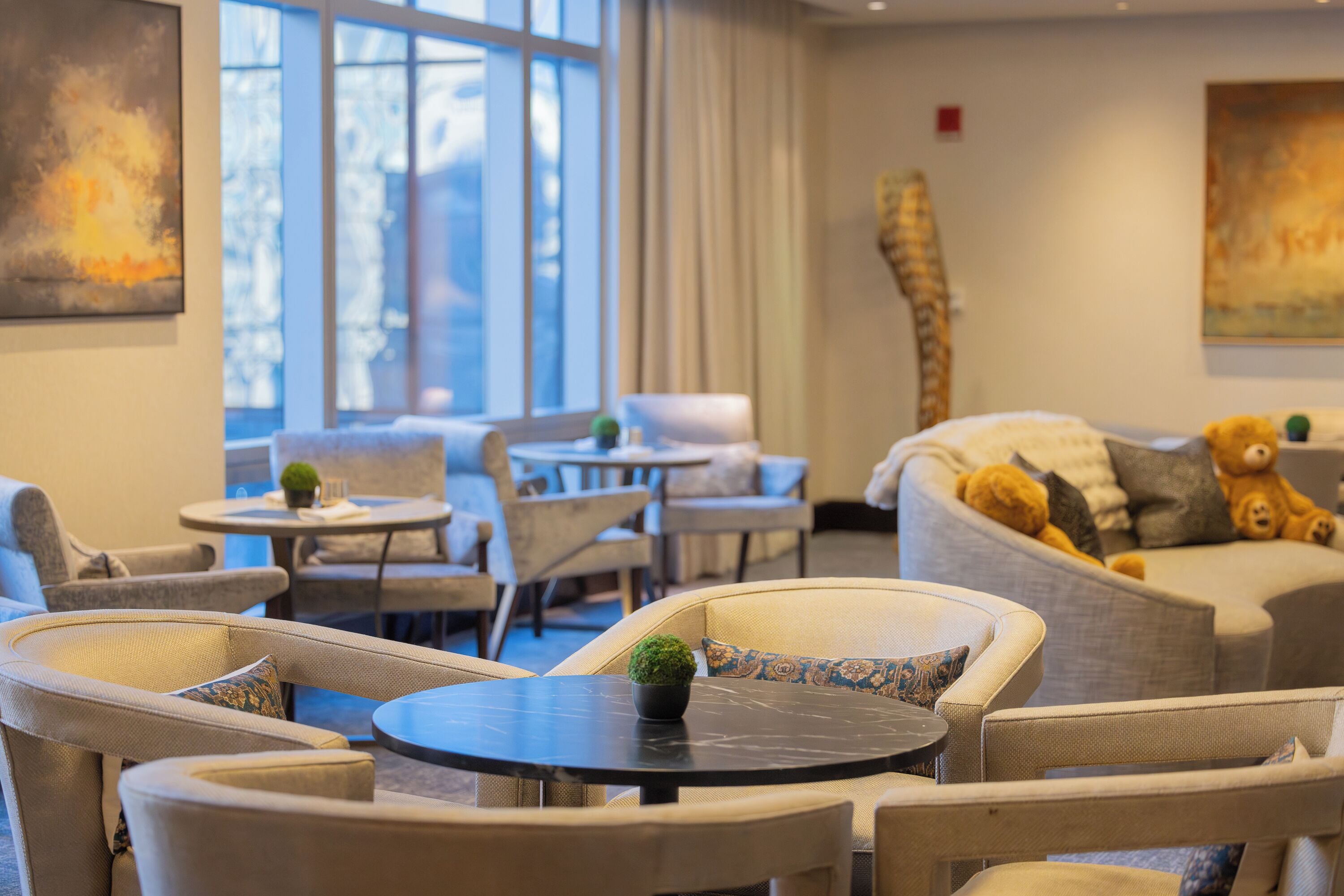 A modern lounge area with comfortable seating, a small table with a plant, and a sofa with a teddy bear.