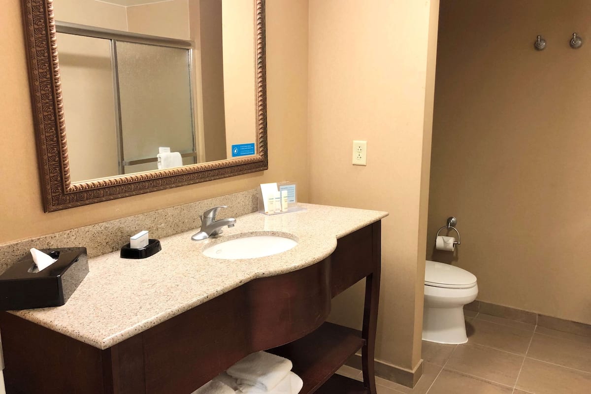 room, 1 king bed | bathroom | combined shower/bathtub, free toiletries, hair dryer, bathrobes