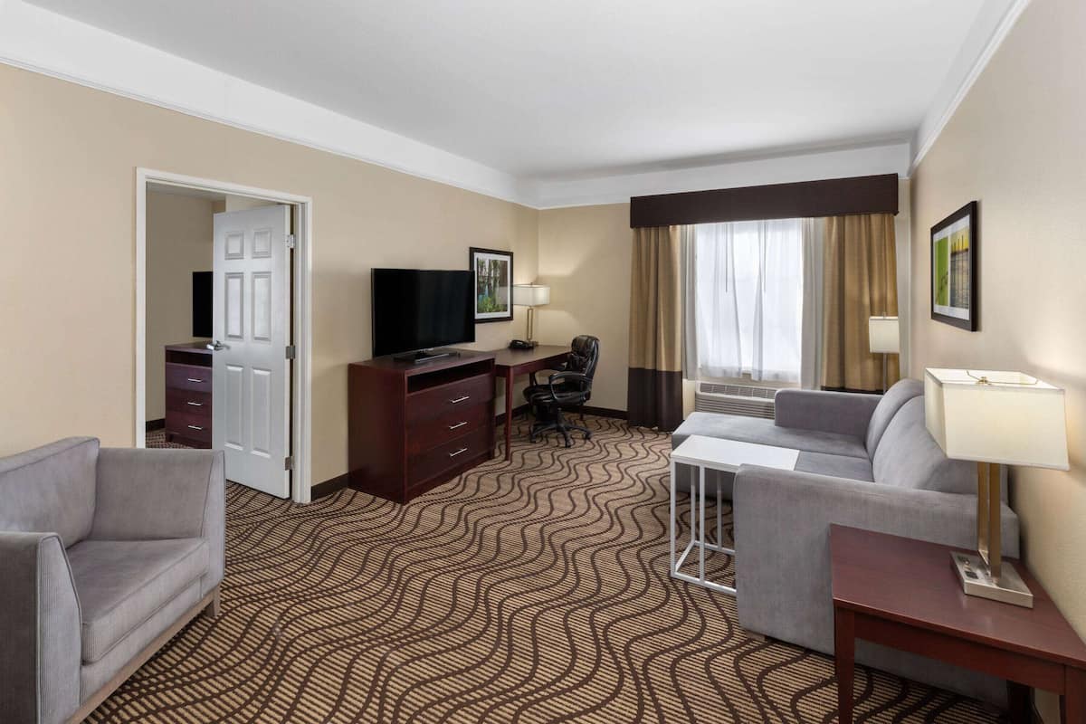 Suite, 1 King Bed, Non Smoking (Sofa Bed) | Desk, iron/ironing board, free WiFi, bed sheets