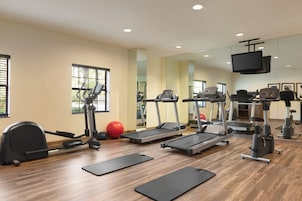 Ein Fitnessstudio mit Laufbändern, Crosstrainern und Übungsbällen.