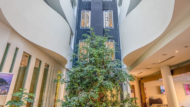 A modern atrium with curved white walls, a central staircase, and a large tree in the middle.