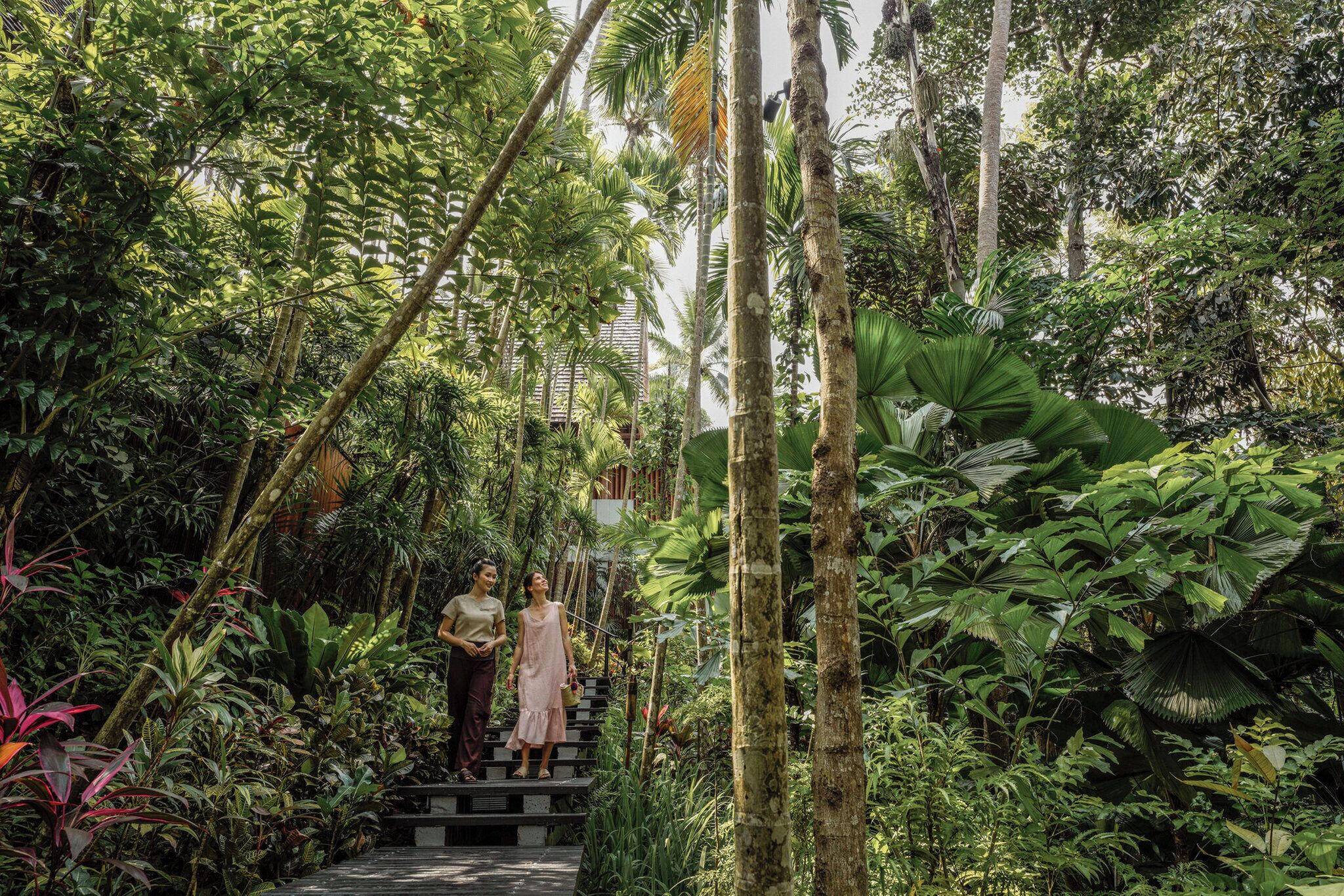 Foto - Four Seasons Resort Koh Samui